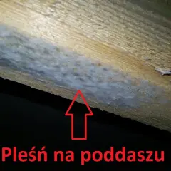 Ile czasu ma deweloper na usunięcie usterki? Poznaj swoje prawa