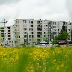 Bloki mieszkalne w budowie, z dźwigiem w tle. Obok droga z autobusami. Zastanawiasz się, ile zarabia deweloper na bloku?