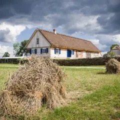 Tradycyjne chaty z krytymi strzechą dachami, jak w skansenach w Polsce, otoczone plecionymi płotami i polami ze snopami zboża.