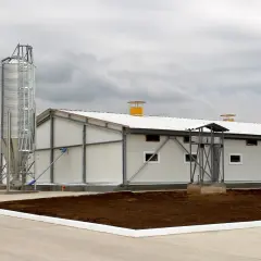 Nowoczesny budynek inwentarski z wysokim siloskiem na paszę i kilkoma mniejszymi budynkami w tle.