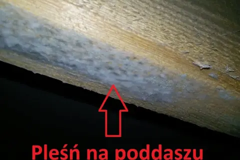 Ile czasu ma deweloper na usunięcie usterki? Poznaj swoje prawa