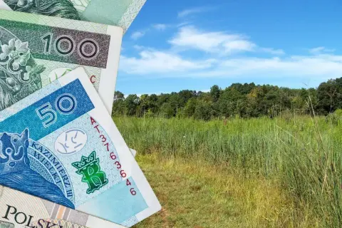 Polskie banknoty 50 i 100 zł na tle zielonej łąki i lasu. Zastanawiasz się, ile kosztuje 1 ha łąki?