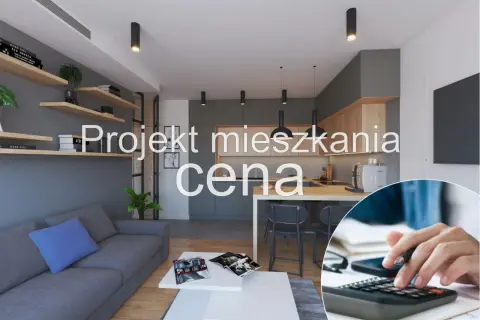 Nowoczesne mieszkanie w bloku z aneksem kuchennym i salonem. Projekt wnętrza z uwzględnieniem ceny.
