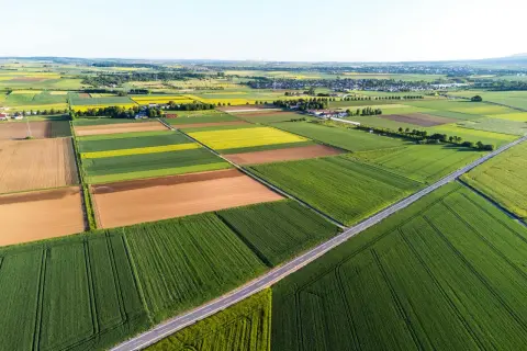 Rozległe, patchworkowe pola uprawne, z drogą przecinającą krajobraz. Idealna ziemia na sprzedaż dla rolnika marzącego o własnym kawałku świata.