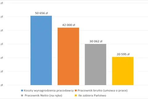 Ile zarabia deweloper miesięcznie? Zaskakujące różnice w wynagrodzeniach