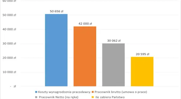 Ile zarabia deweloper miesięcznie? Zaskakujące różnice w wynagrodzeniach