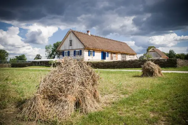 Tradycyjne chaty z krytymi strzechą dachami, jak w skansenach w Polsce, otoczone plecionymi płotami i polami ze snopami zboża.